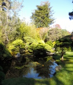 Japanese Botanical Garden, Golden Gate Park