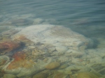 Salt caked rocks in the water along the shoreline of the Dead Sea make for a very slippery entrance in the water